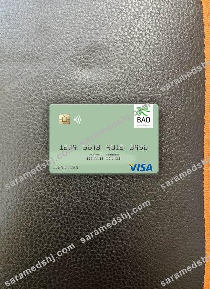 Guinea Bissau Banco Da Africa Ocidental visa debit card photolook front